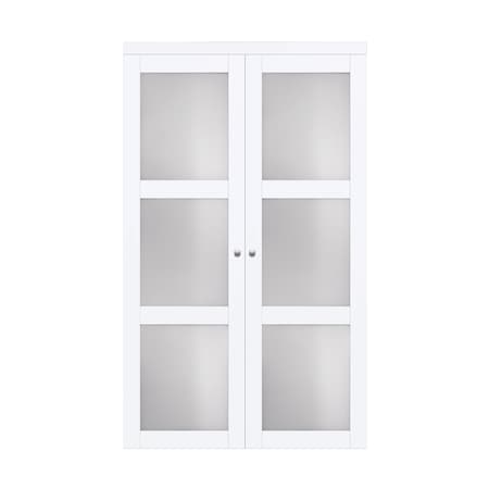 Renin Renin 24 in. x 80 1/2 in. Euro 3-Lite Design Pivot Door PV5402BWFGC024080